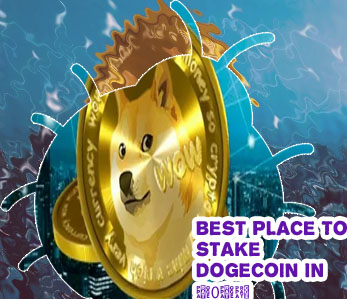 Best crypto exchange for dogecoin