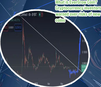Egc crypto coin