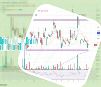 Highest price of bitcoin us