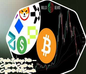 Shibusd crypto